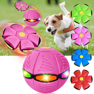 Pet Magic Flying Saucer Ball
