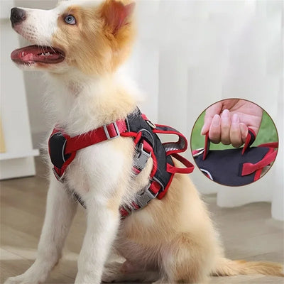 Explosion-Proof Pet Harness
